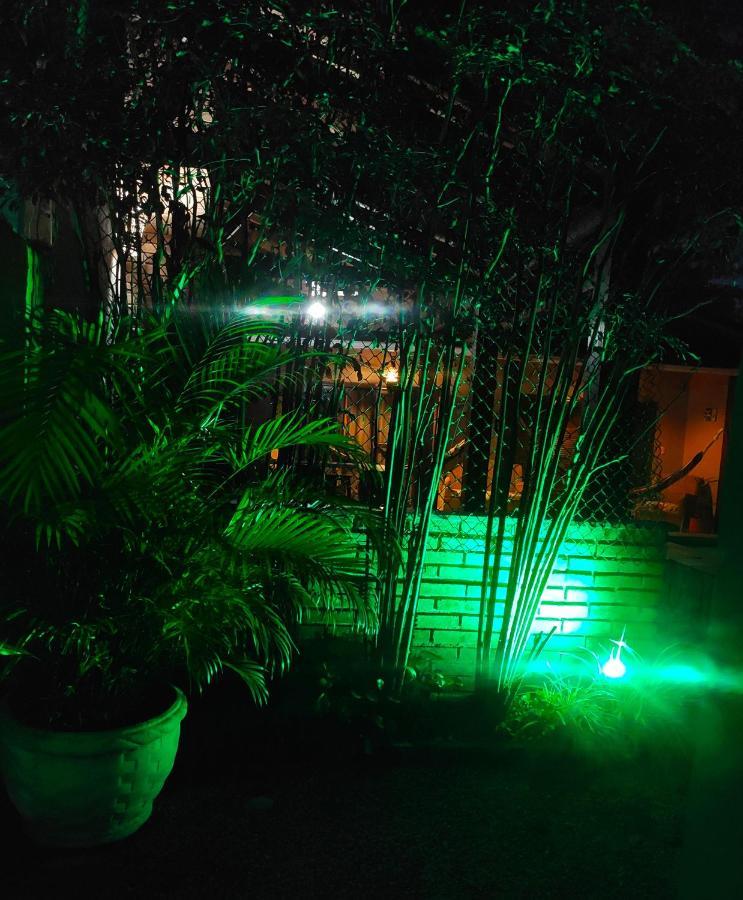Homestay Lodi